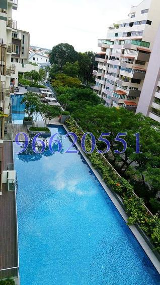 eCO (D16), Condominium #165891792